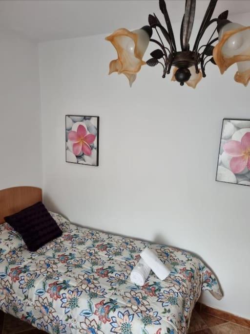 הוילה וחר דה לה פרונטרה Casa Francisca En El Casco Antiguo מראה חיצוני תמונה